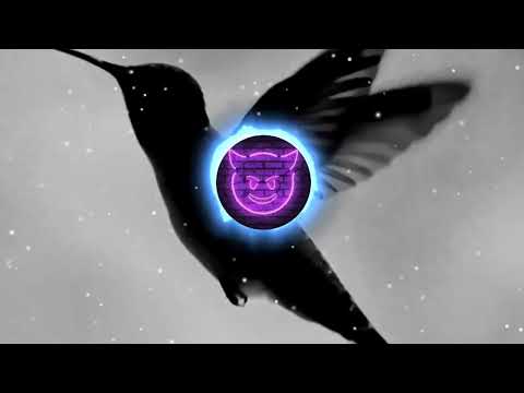 Колибри BASS BOOSTED