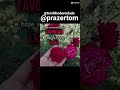 @Prazertom