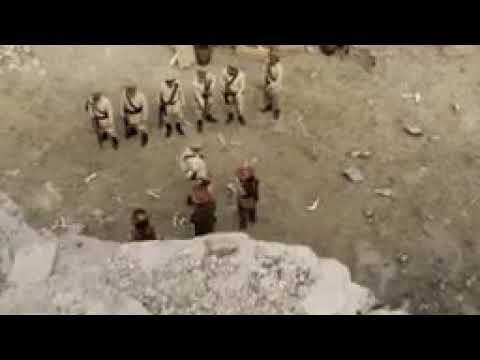 Vídeo: Com Executar Corones