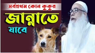 আসহাবে কাহাফের কুকুর কি সত্যিই জান্নাতে যাবে এই বিষয় নিয়ে বয়ান করলেন আব্দুল আউয়াল সাহেব