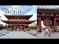 Семейное путешествие в Токио, 2021 год. Аскакуса, Сэнсодзи, зоопарк Уэно. Влог Япония.
