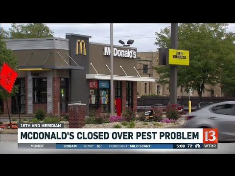 McDonald's closed over pest problem - YouTube