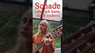 Schade (aber ich kann nicht anders) #song #satire #liedermacher #lied #humor #ki-frei #songtext
