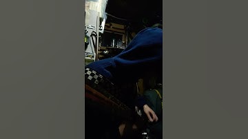 Toxicity-System of a Down Bass #bassguitar #soad #systemofadown #overdrive #music #numetal numetal