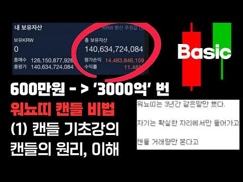 600만원 3000억 번 워뇨띠 캔들 비법 1 캔들의 원리와 이해 