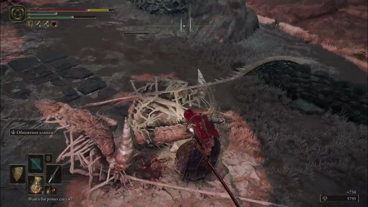 руины поселения elden. руины поселения elden. пещера руины поселения звездных пустошь. великий подъемник дектуса элден ринг. руины поселения elden ring.