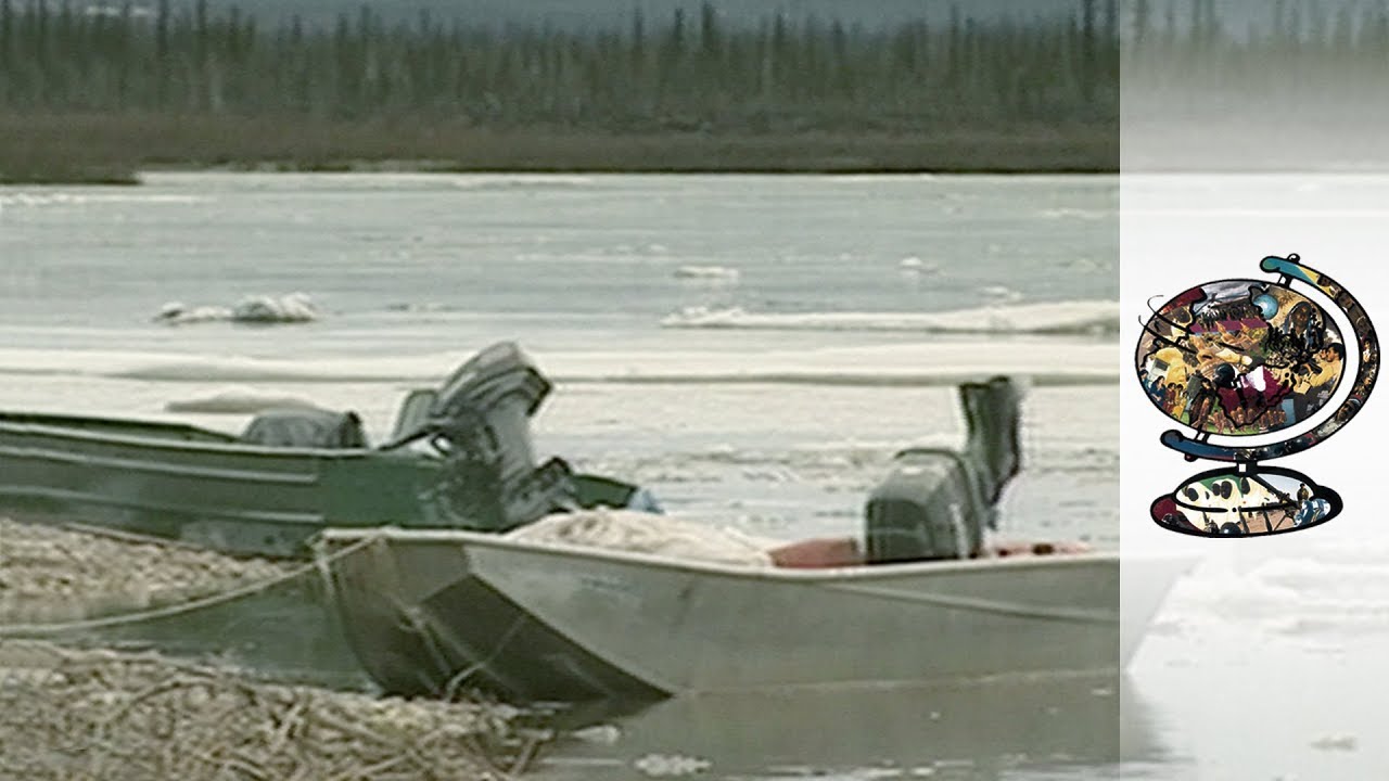 The Alaskan Conundrum: An Oil-Rich Natural Paradise (2018)