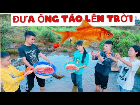 DTVN Vlog : (Tập 139) Bài học nhớ đời cho kẻ giám bắt nạt trẻ trâu( ĐẠI CHIẾN CÁ VÀNG ÔNG TÁO )