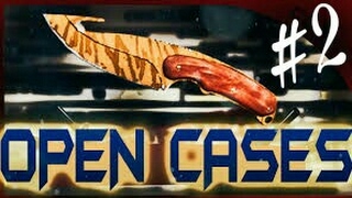 OpenCase #2 Окупился!
