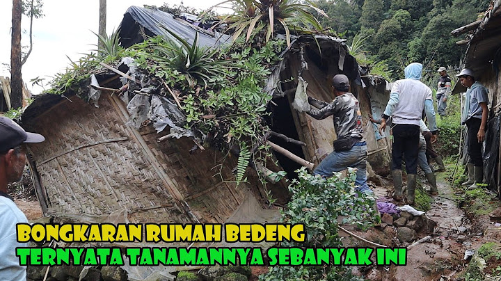 Bedah Rumah Pun Siap Di Mulai.. Gak Nyangka....Atap Rumah Bedeng Tanamannya Sebanyak Ini.