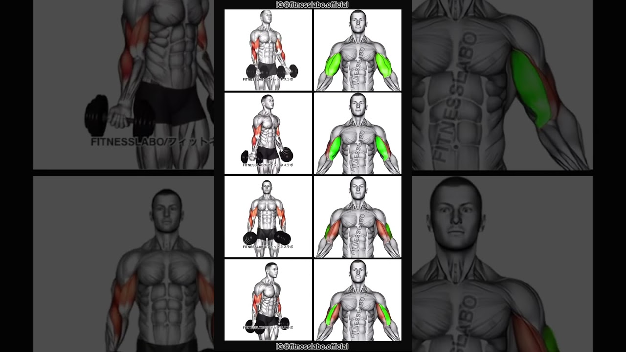 Day 27 biceps 💪 workout 🚩🥰 