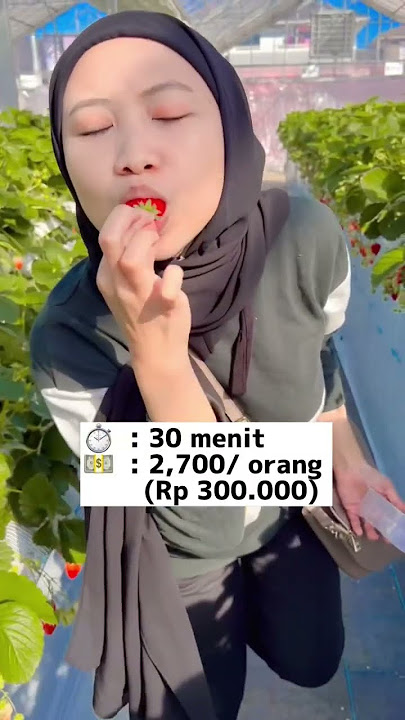 STROBERI DI JEPANG SEGEDE BUAH SALAK?? 😱🤤🍓 #jepang