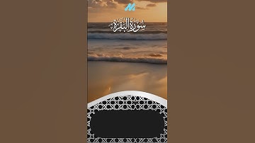 تلاوة خاشعة من سورة البقرة | للقارئ إسلام صبحي 🌿