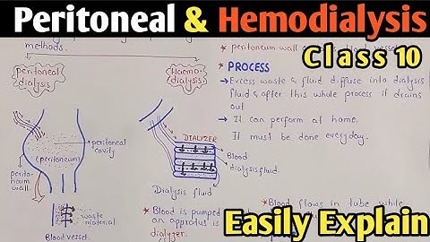 Dialysis | Peritoneal And Hemodialysis | Class 10 Biology