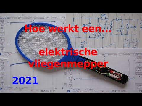 Video: Wanneer werd de eerste vliegenmepper gemaakt?