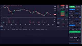 Easy trading with DueDEX Risk Manager - Все просто