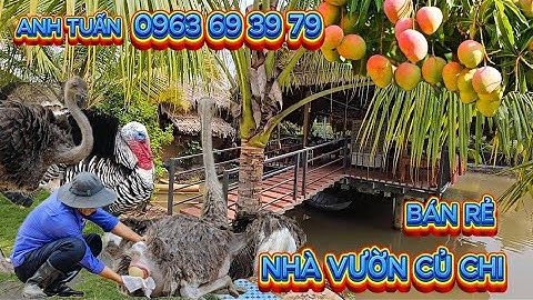 🛑SỐC Chỉ Hơn 1 Triệu /m2 Nhà Vườn Củ Chi - Gần Chợ Phước Thạnh - Tỉnh Lộ 7 - Sẵn Vườn Cây Ao Cá đẹp