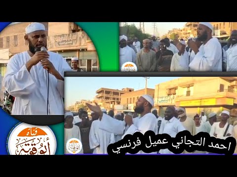 أحمد التجاني قليل الأدب