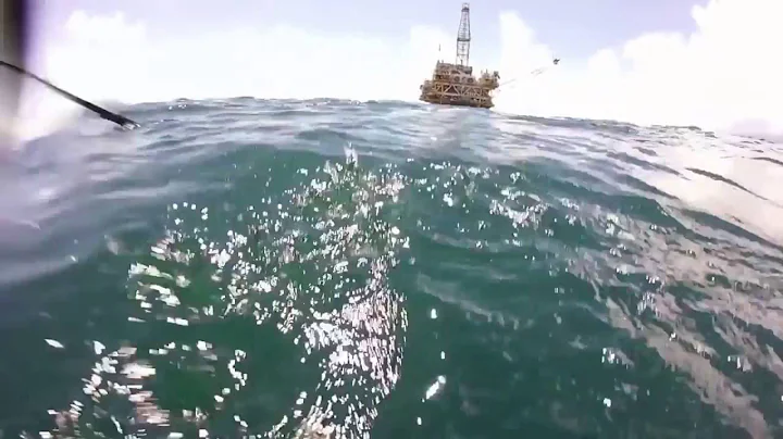 Huge Tiger Shark kills Hammerhead Shark