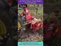 🚜 Tractor Tilling in Vineyard | Modern Orchard Cultivator #likeandsubscribe