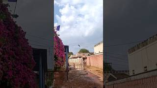 My Beautiful Village