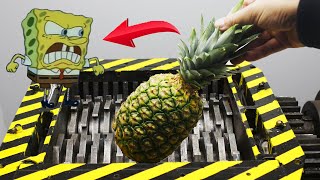 Experiment Shredding Spongebob Squarepants House Satisfying