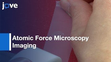 Atomic Force Microscopy Imaging & Force Spectroscopy Of Supported Lipid Bilayers l Protocol Preview