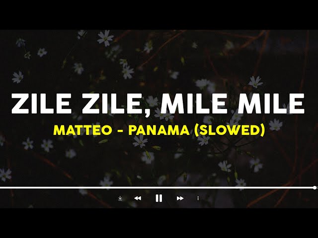 Matteo - Panama (Slowed) zile zile mile mile (Tiktok Song)| Lyrics Terjemahan class=