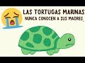 7 TRISTES DATOS de ANIMALES que TE PONDRÁN TRISTE