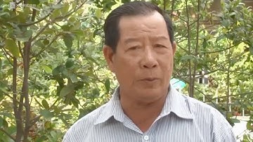 Thiết bị bay phun thuốc trên ruộng lúa ở miền Tây