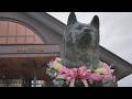 忠犬ハチ公のふるさと大館市で慰霊祭