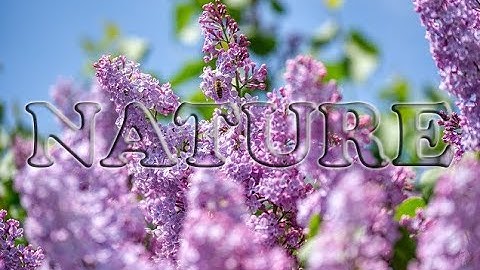 Transparent Text Effect in Photoshop CS6/CC in 2 Minutes