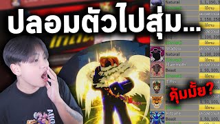 ปลอมตัว ไปสุ่มไก่ตันร้านตัวเอง จะคุ้มมั้ย! Bloxfruits