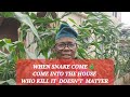 When snake 🐍 come into the house...#lesson #education #funny #entertainment #proverbs #fyp