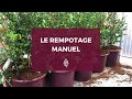 Focus mtier  le rempotage manuel