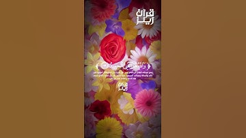 قرآن كريم ❤️ القارئ مشاري فالح❤️ (سورة فاطر)