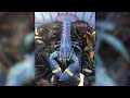 Rare cotton candy lobster caught in maine