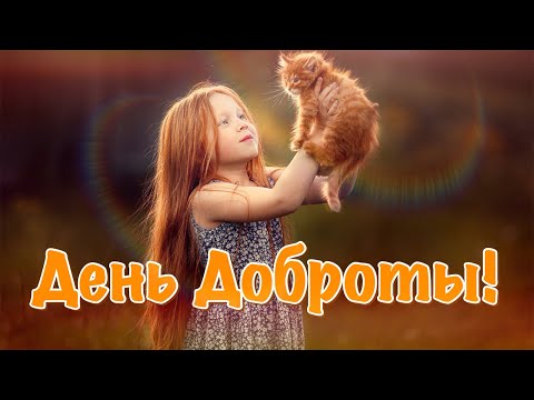 17 февраля День доброты! Поздравление с днём Доброты 2021 День спонтанного проявления доброты