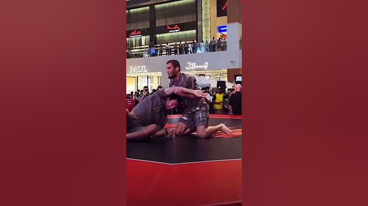 Умар и Усман Нурмагомедовы перед боем с Кори Сэндхагеном #fighterevolution #mma #nurmagomedov