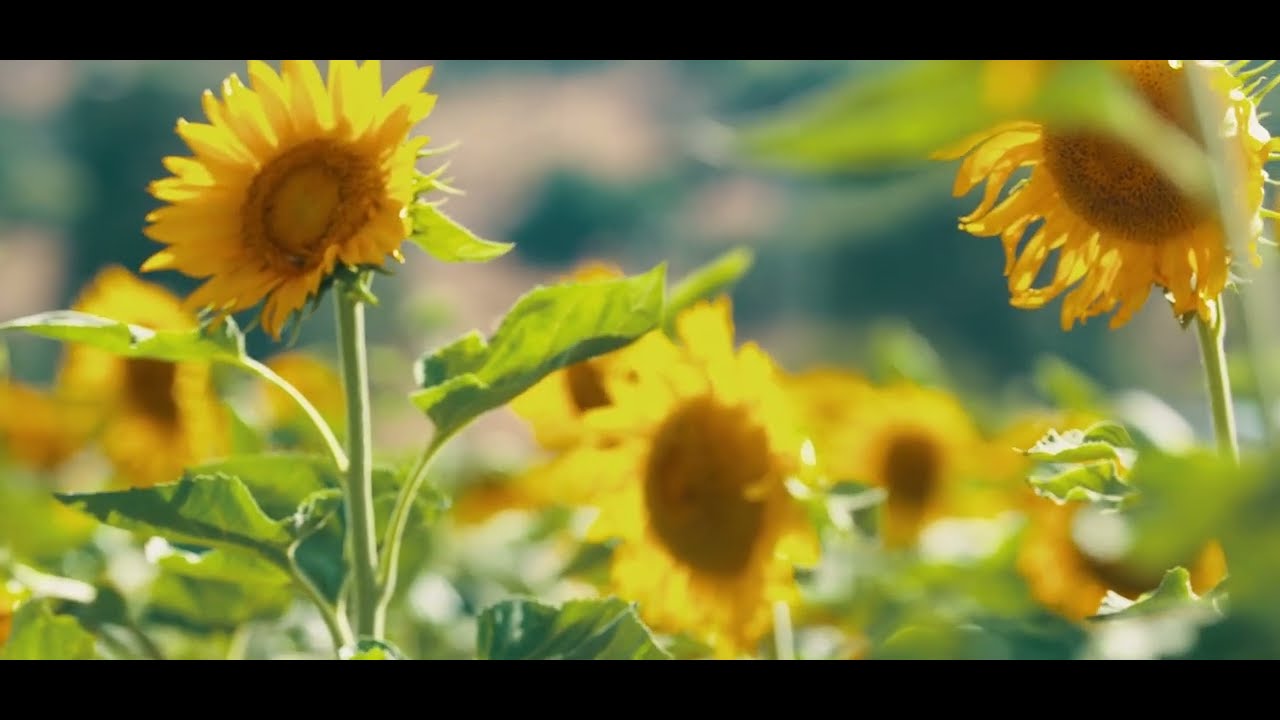 A Fresh Start with Jesus Mashiach