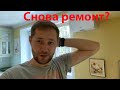 VLOG: Как там Сайбель?? / Никогда не красьте стены в этот цвет ;)