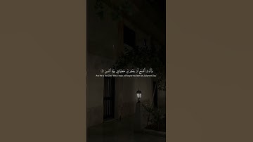 #السعودية #قرآن #ماهر_المعيقلي #سورة_الإخلاص #مشاري_العفاسي #المعوذات #قران #قران_كريم #ستوريات