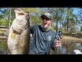 GIANT BASS FOUND in MUDDY CREEK! BED FISHING with JIGS