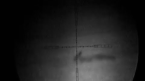 fox shooting in the uk with best fox call