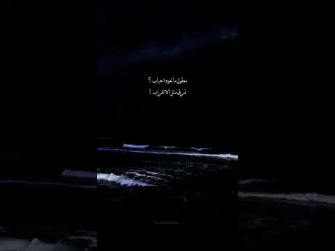 معقول ما نعود حباب