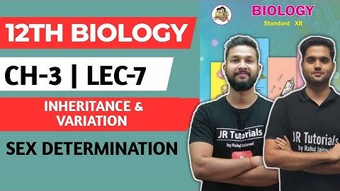 12th Biology | Chapter 3 | Inheritance & Variation | Lec 7 | Sex Determination |