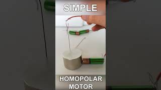 Simple Homopolar Motor