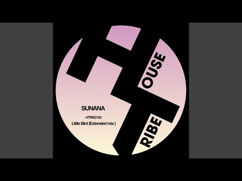 Little Bird (Extended Mix)
