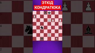 💥ДИКИЙ ПРЕССИНГ #chesspuzzle #шахматныезадачи #шахматы #chess