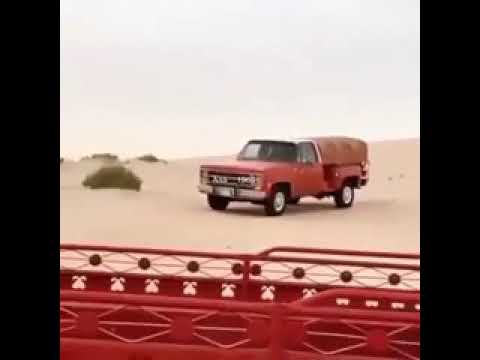 مهلي حشاش اضفيري